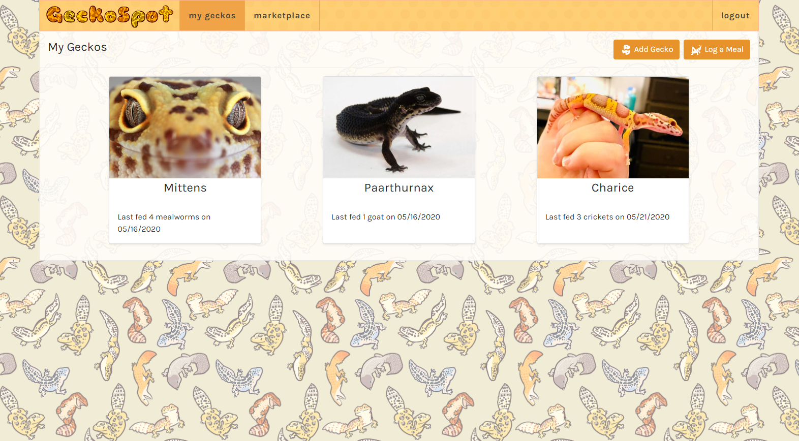 GeckoSpot my geckos page