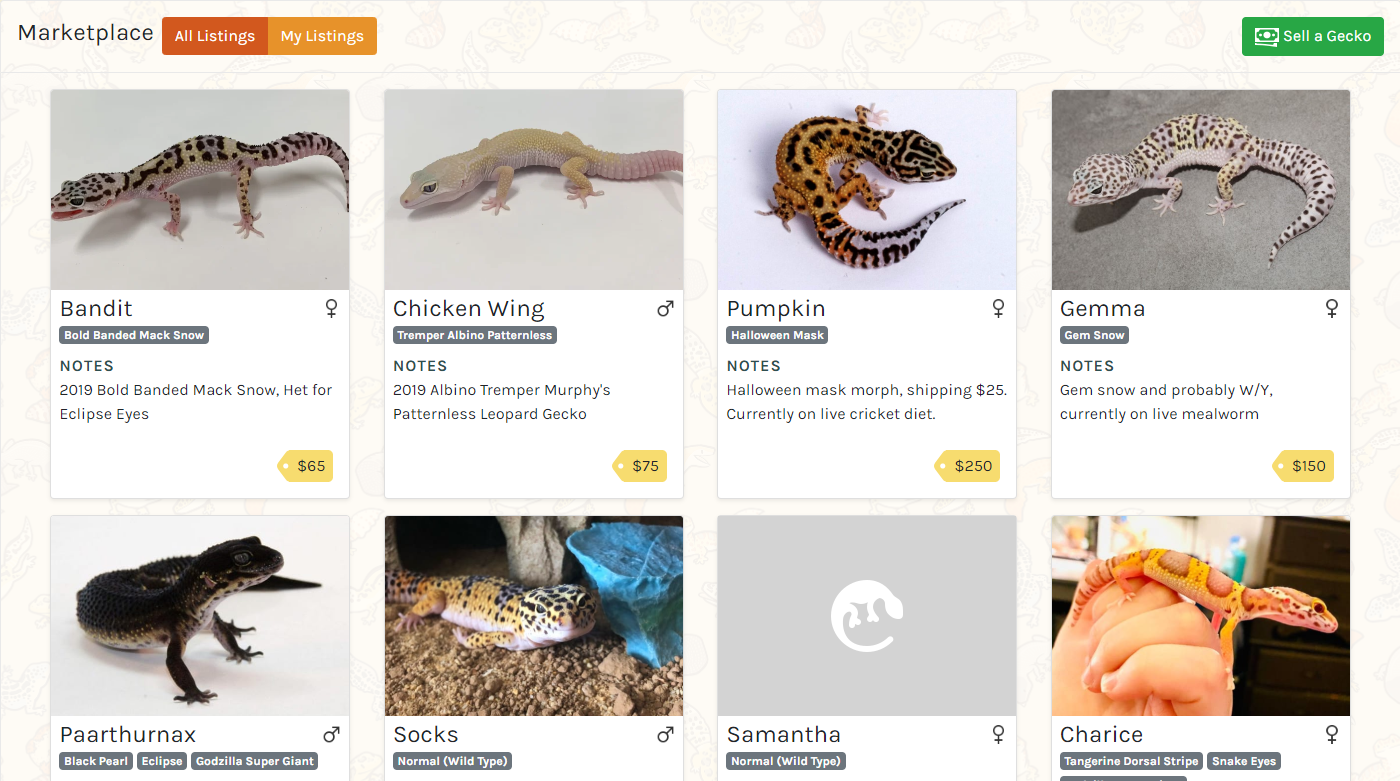 GeckoSpot marketplace page
